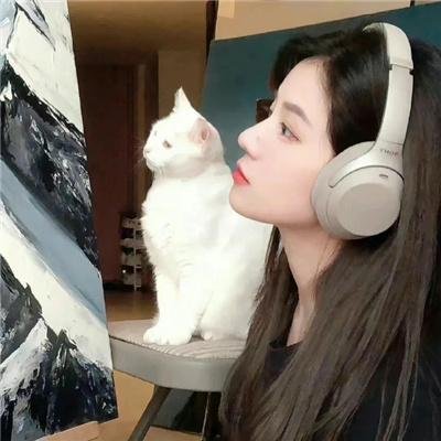 不好惹的顾助理